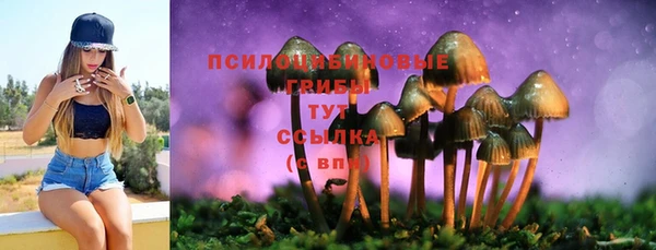 mdma Богданович